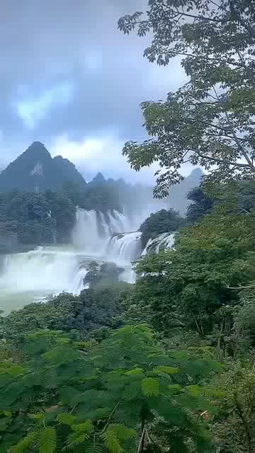 冷知识分享平台-{{关键词}}专注知识乐趣